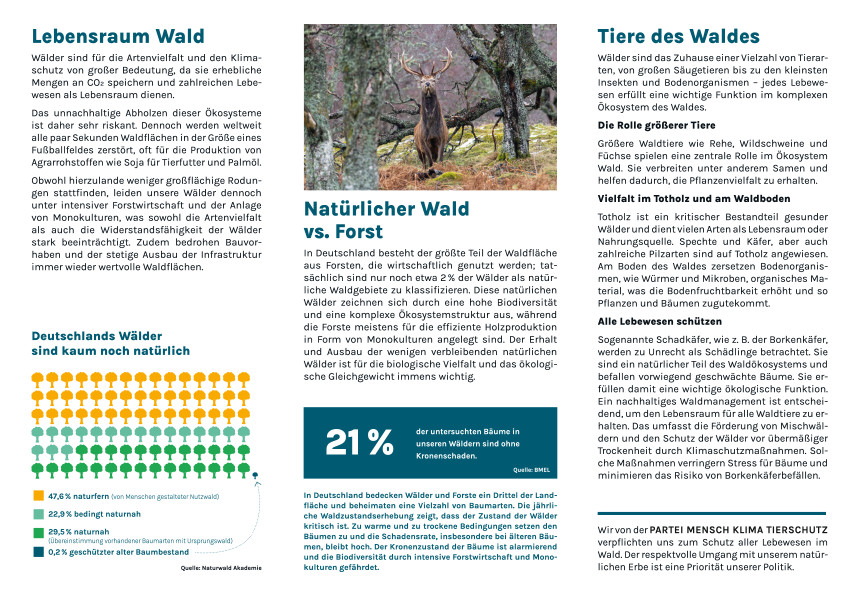 Flyer »Wald« (100 Stück)