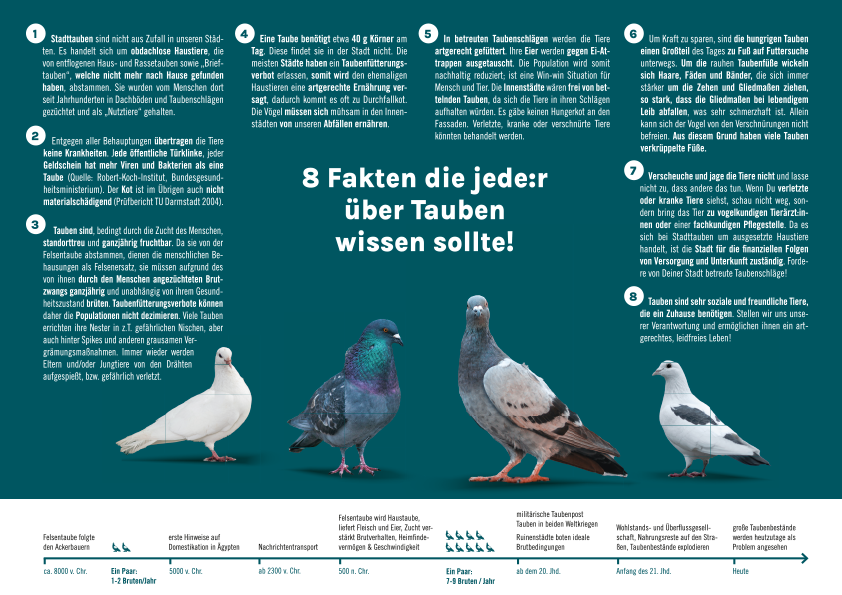 Flyer »Stadttauben« (100 Stück)