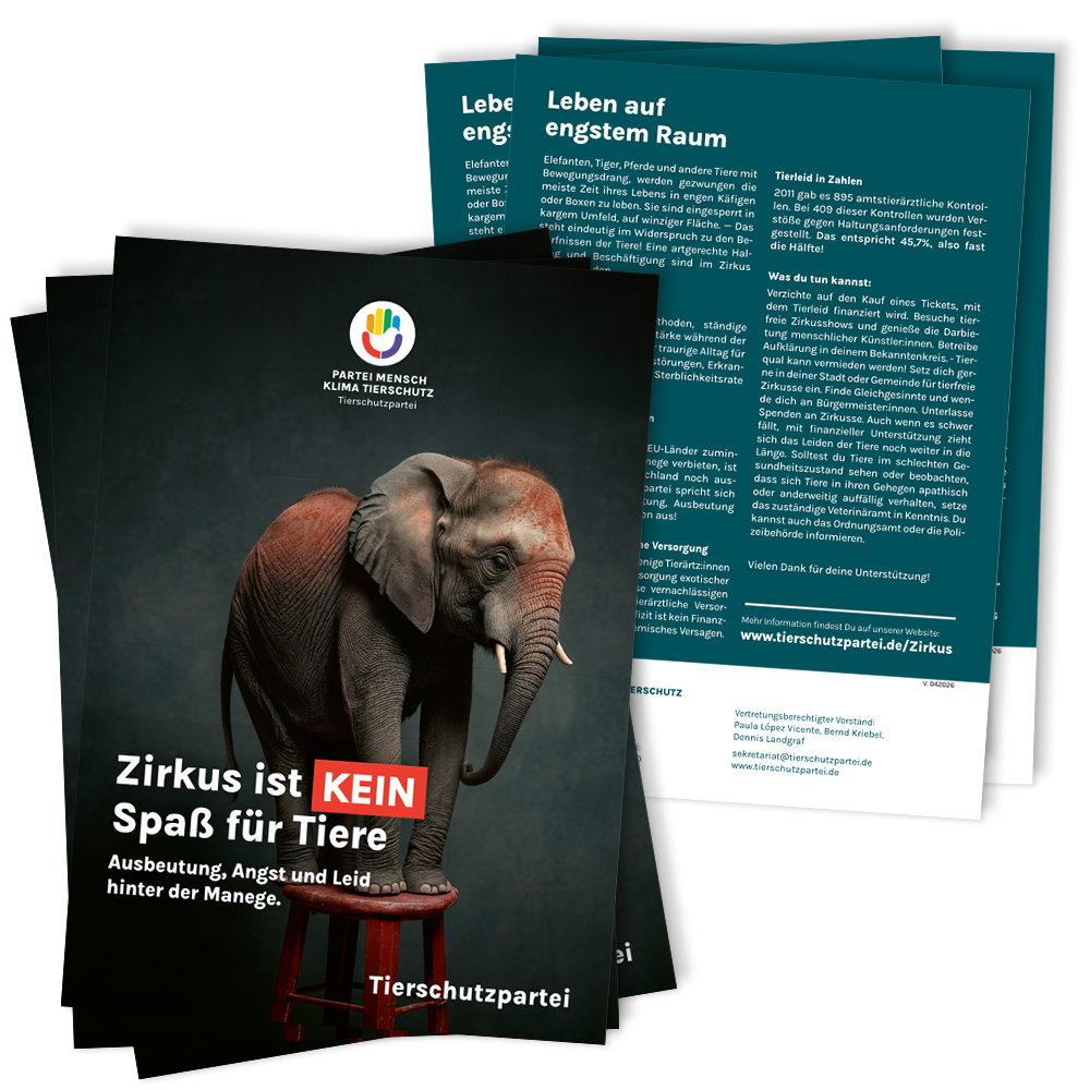Flyer »Zirkus« A5 (100 Stk.)
