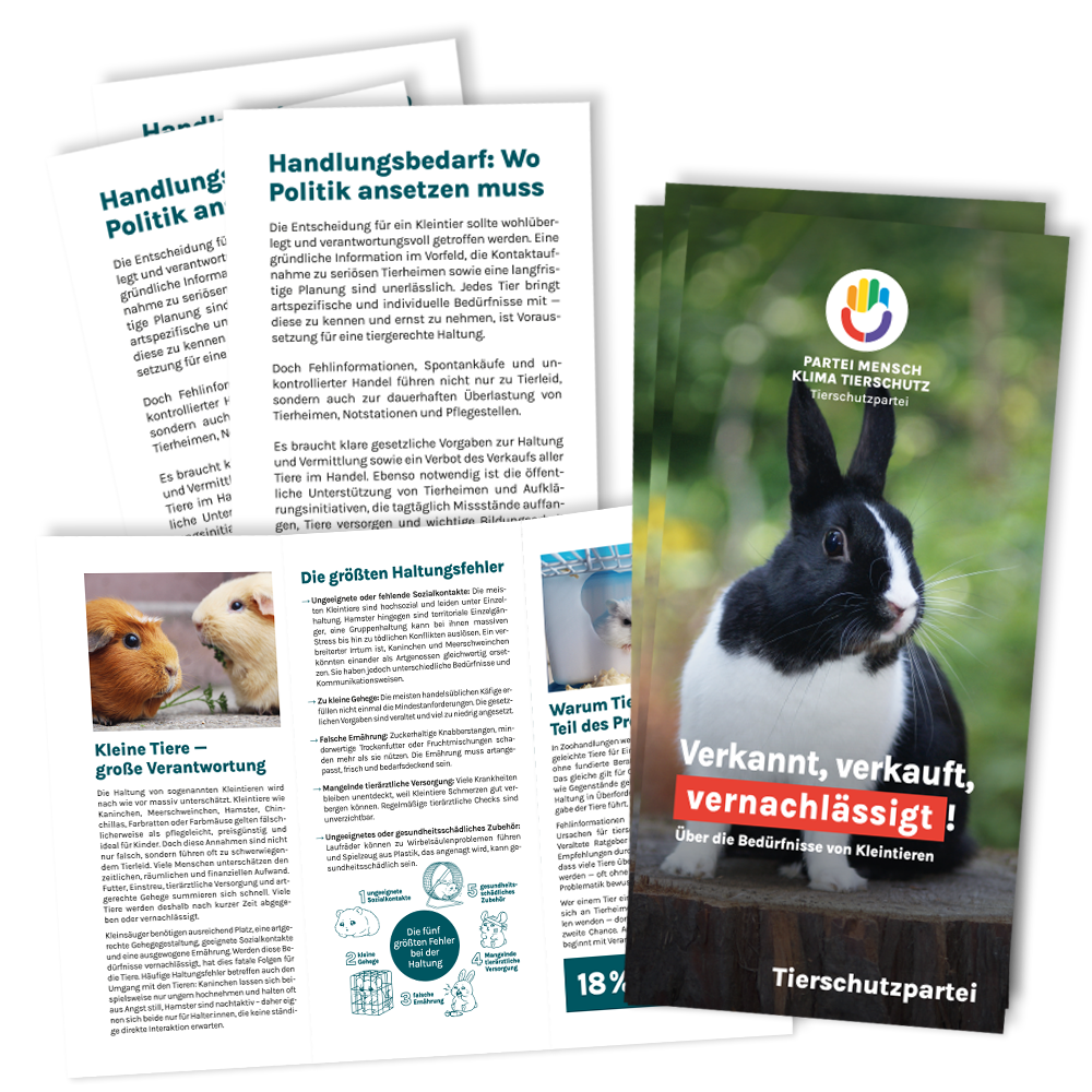 Flyer »Kleintiere« (100 Stück)